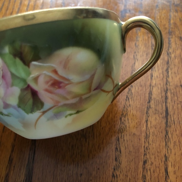 Royal Rudolstadt Prussian rose pattern gold trim tea cup and saucer Victorian - Picture 5 of 15